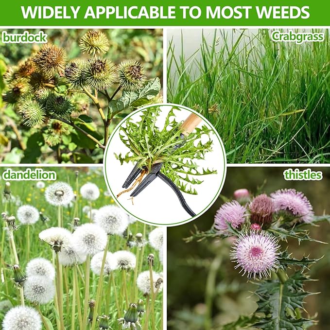 Stand Up Weed Puller with Long Handle ,Weed Puller Tool with 4-Claw Steel Head & 3-Sectioal Pole Design,Garden Hand Weeder Tool -Easily Remove Weeds and Root Without Bending, Pulling,or Kneeling