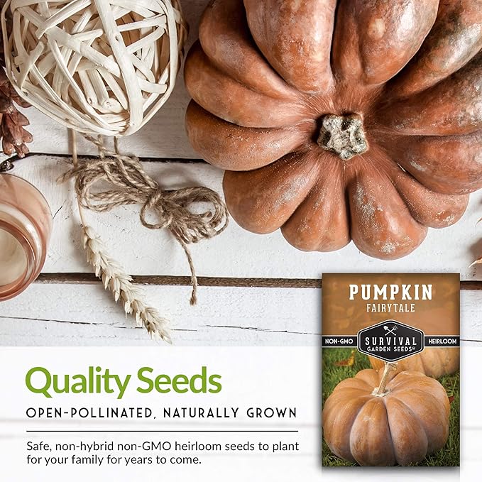 Survival Garden Seeds - Fairy Tale Pumpkin Seed for Planting - 2 Packs with Instructions to Plant and Grow Pumpkins in Your Home Vegetable Garden - Non-GMO Heirloom Variety