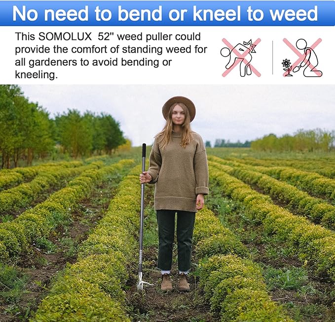 SOMOLUX 52'' Weed Puller Stand-up Weeder Weeding Tool for Gardening Heavy-Duty Stainless Steel Claw with Long Metal Handle Weed Remove Tool for Lawn/Yard and Garden Without Bending or Kneeling