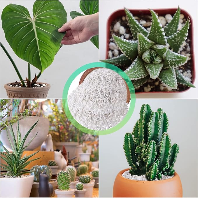 Legigo 8 Quarts Organic Horticultural Perlite for Plants Indoor- Natural Horticultural Soil Additive Conditioner Mix for Improves Drainage, Ventilation and Root Growth
