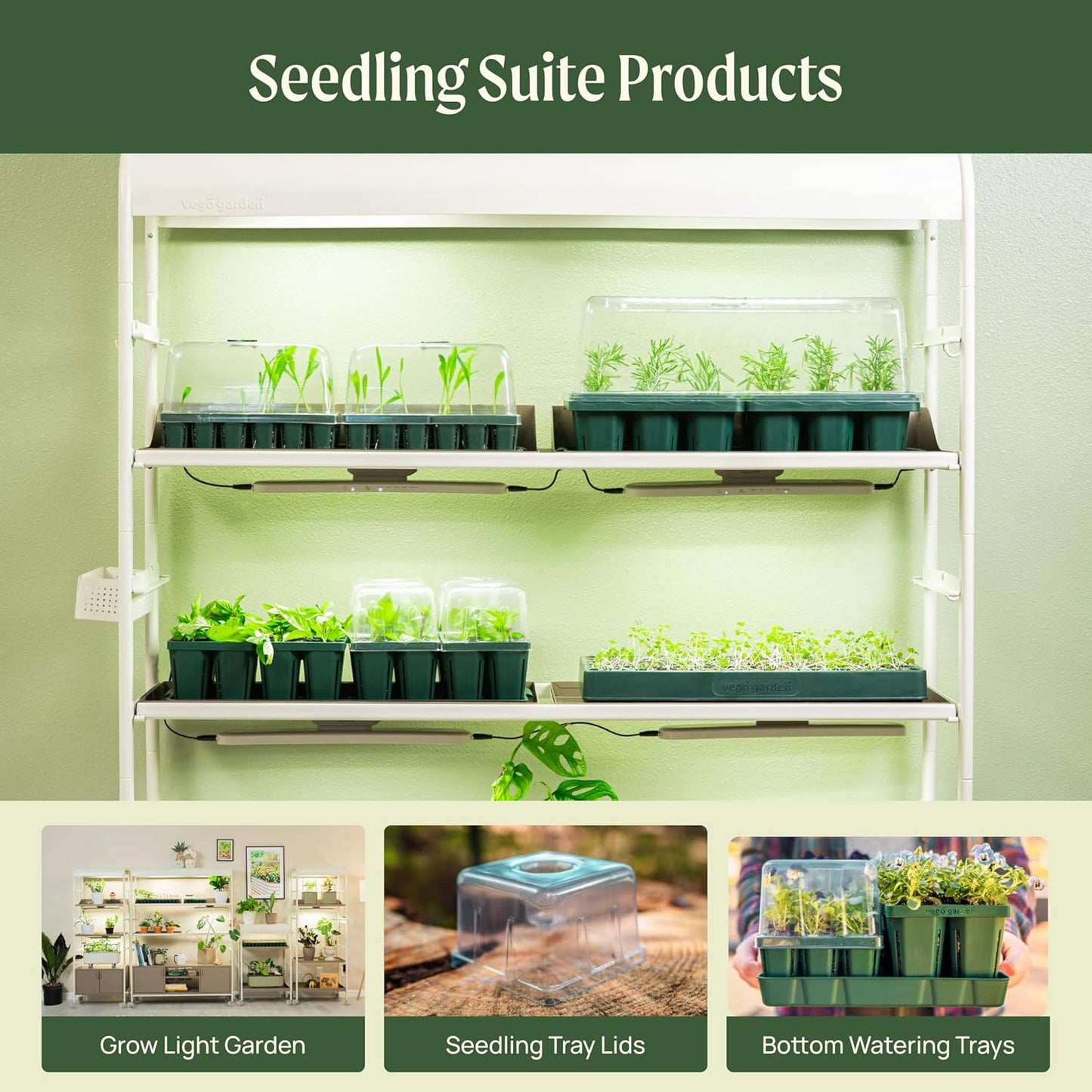 Vego garden Jumbo Seedling Trays Without Lids, 64 Pack Reusable Propagator Growing Starter Tray for Larger Plants, Heavy-Duty Plastic Germination Trays (4-Cell per Tray)