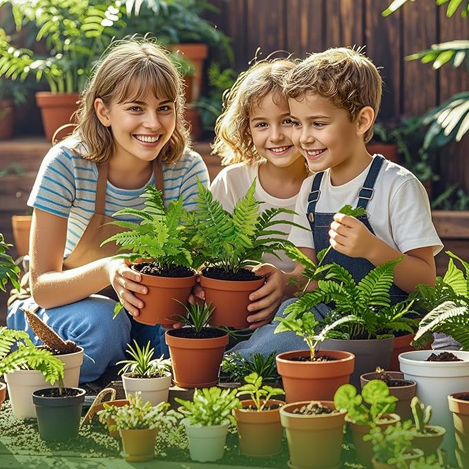 Potting Soil Mix for Fern 4qt, Custom Hand Blended Mixture Suitable for Indoor/Outdoor Potted Fern Plant