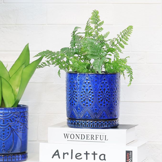 8 Inch + 6 Inch Indoor Plant Pot with Drainage Holes and Saucers, Ceramic Planter for Plants Succulent Orchid Flower Pots