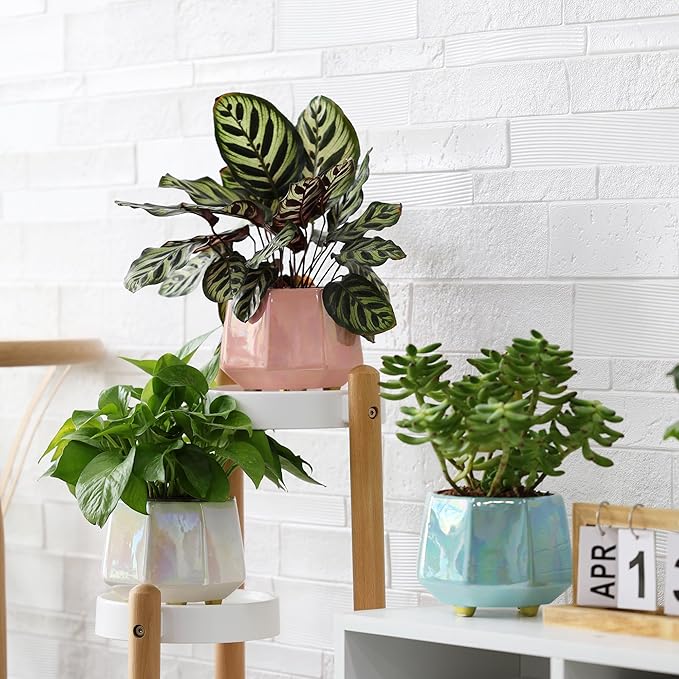 6 Inch + 4 Inch Ceramic Planter for Indoor Plants - Plant Pots with Drainage Hole - Modern Minimalist Flower Pot for Succulents and Herbs, Pink