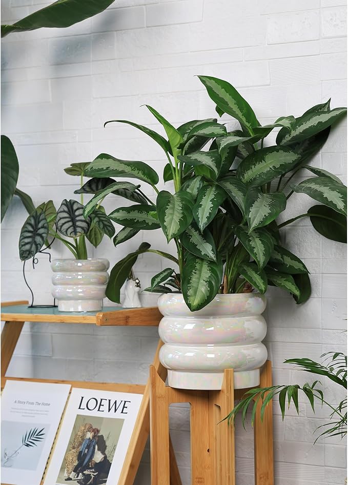 10 inch Ceramic Plant Pots for Indoor Plants, Rainbow Pearl Glaze Planter with Planters for Plants with Drainage Hole, Orchid Pots, Succulent Pot, Large Flower Pot (White)