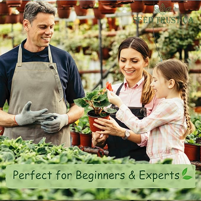 Malabar Spinach Seeds β 100+ Non-GMO, High-Yielding Malabar Variety Heirloom Seeds β High Germination Rate, Easy to Grow, Nutritious Tropical Leafy Green β USA (Malabar)