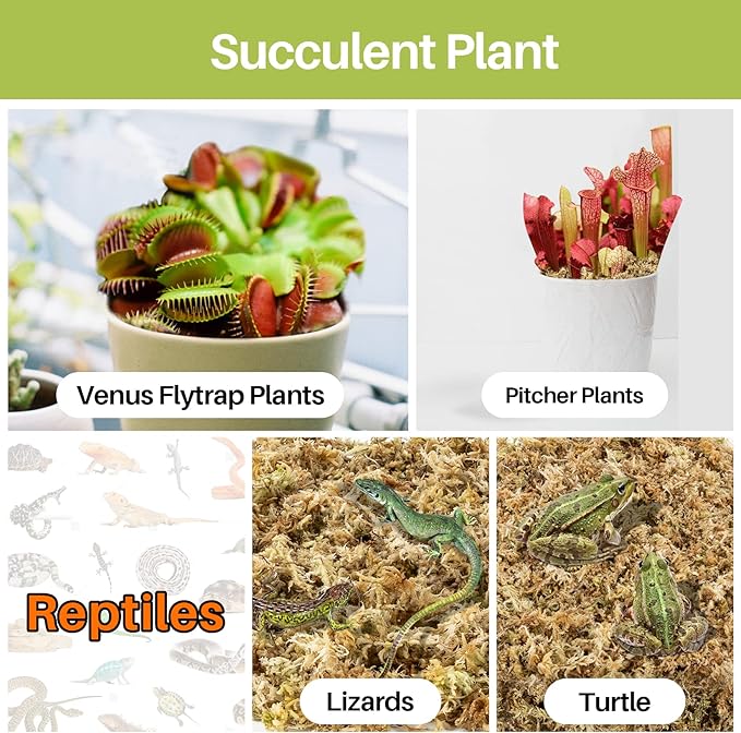 Sukh 20oz Sphagnum Moss for Plants - Sphagnum Peat Moss Natural Long Fibered Dried Moss Potting for Orchids Succulent Carnivorous Potted Plant Reptiles Medium Sarracenia DIY Moss Terrarium Decorations