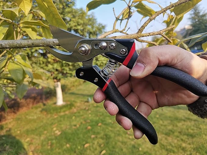 May Star Pruning Shears(MSPS-J006), Professional Pruning Shears,Perfect for Fence and Garden,SK5 Steel Blade, Size of The Opening 1.9 Inch
