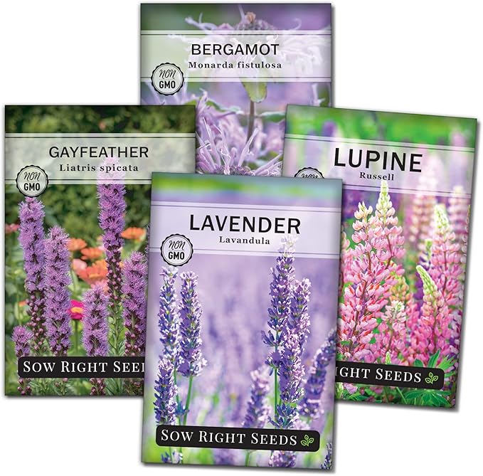 Sow Right Seeds - Bee Seed Collection for Planting - Bergamot, Gayfeather, Lavender and Lupine - Seed Kit for Pollinators - Non-GMO Heirloom with Instructions to Plant & Grow - Makes a Great Gift