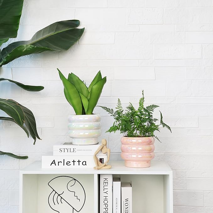 5.7 Inch +4.1 inch 2 pcs Ceramic Plant Pots for Indoor Plants, Rainbow Pearl Glaze Planter with Planters for Plants with Drainage Hole, Orchid Pots, Succulent Pot, Flower Pot (White)