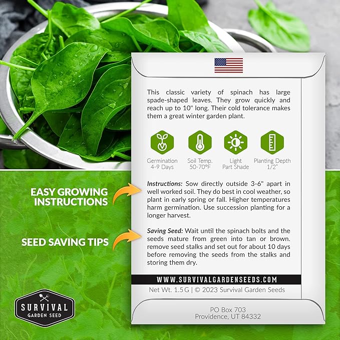 Survival Garden Seeds - Viroflay Spinach Seed for Planting - Packet with Instructions to Plant and Grow Nutritious Leafy Greens in Your Home Vegetable Garden - Non-GMO Heirloom Variety - 5 Pack