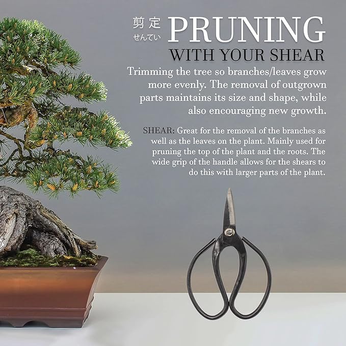 BambooMN Bonsai 7" Heavy Duty Butterfly Shear - 30 Pieces