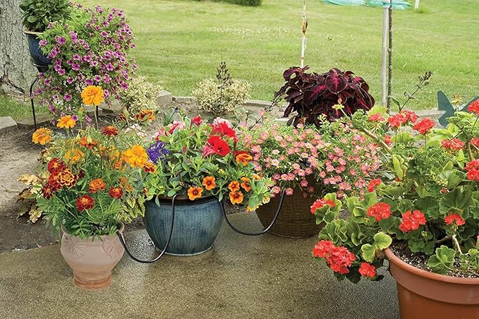 Raindrip R560DP Automatic Drip Irrigation Watering Kit with Customizable Timer for Containers and Hanging Baskets, Waters up to 20 Plants, Includes 20 PC Drippers, Black