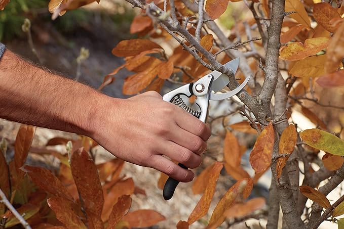 FISKARS® Forged Steel Bypass Pruner - Ultra-Durable, Ergonomic Design for Comfortable Use while Gardening - Cut and Prune Stems and Light Branches up to ¾” diameter - 375 Years of Quality