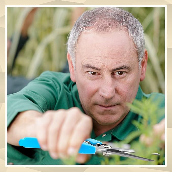 Chumia 30 Pcs Garden Flower Shears Pruning Scissors Heavy Duty Plant Scissors Trimming Garden Clippers Hand Tree Pruner for Yard Gardening Plants Hedge Flower Tree Cutting Secateurs (Blue)