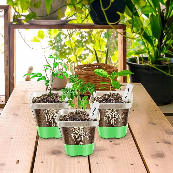 Clear Nursery Pots for Plants,10 Packs Seed Starting Pots 3.1 inch Plastic Plant Pot Seedling Pots with Drainage Holes Plant Nursery Pots with Silicone Base Seed Starting Pot (No Lids 10)