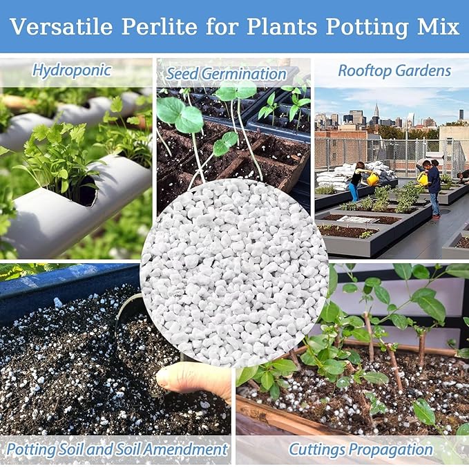 Riare 6 Quarts Organic Perlite for Plants - Horticultural Perlite Soil Amendment for Plants Potting Mix, Natural Chunky Perlite Soil Additive Conditioner Improve Root Growth, Drainage and Ventilation
