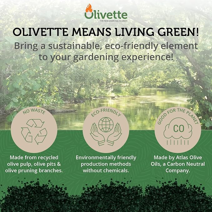 Olivette Horticultural Activated Charcoal for Plants Terrarium Horticulture Moisture Absorbers | Terrarium Supplies | USDA Organic Certified | Made from Recycled Olive Tree Byproducts | 3 Bags