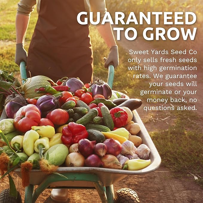 Organic Lettuce & Greens Seeds Variety Pack - 10 Individual Packs - 2025 Season - Buttercrunch, Arugula, Romaine, Kale and More! for Indoor & Outdoor Planting (Non-GMO, Certified Organic)