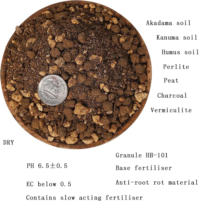 Foliage Plants Potting Soil Mix (6 L) for Indoor Money Tree, Pothos, Monstera, Sansevieria and More(Made in Japan)