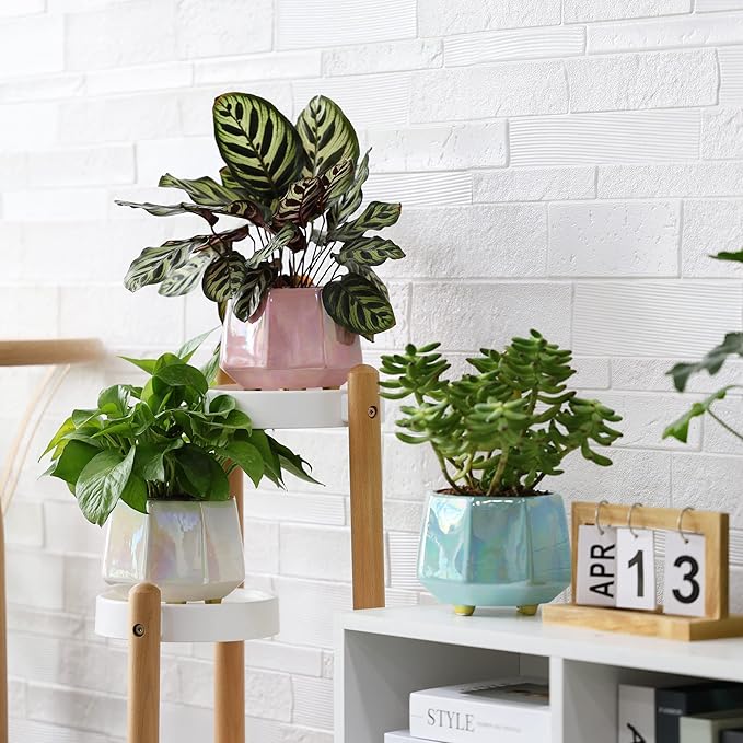 6 Inch + 4 Inch Ceramic Planter for Indoor Plants - Plant Pots with Drainage Hole - Modern Minimalist Flower Pot for Succulents and Herbs