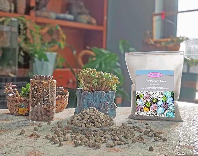 Horticultural Pumice for Plants 10QT, Natural Organic Pumice Stones for Succulent Cactus Bonsai Tree Orchid Potting Mixed, Improves Soil Aeration and Drainage, Promotes Root