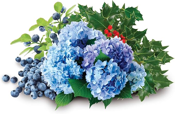 Jobe's Organics Granular Soil Amendment, Organic Soil Acidifier for Blueberry and Hydrangea Plants, 6 lbs Bag