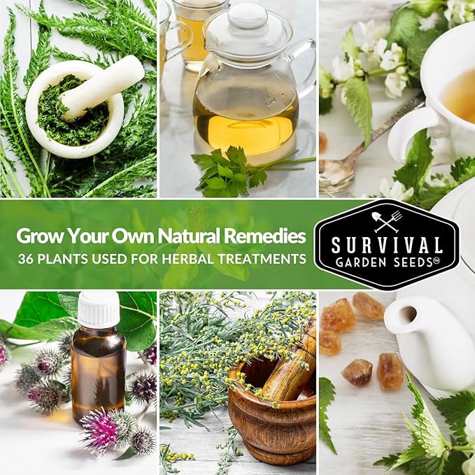 Ultimate Medicinal Herbs Collection - 36 Variety Pack of Herb Seeds for Growing Essential Healing Plants - Mixed Assortment for Homesteaders - Non-GMO Heirloom Varieties - Survival Garden Seeds