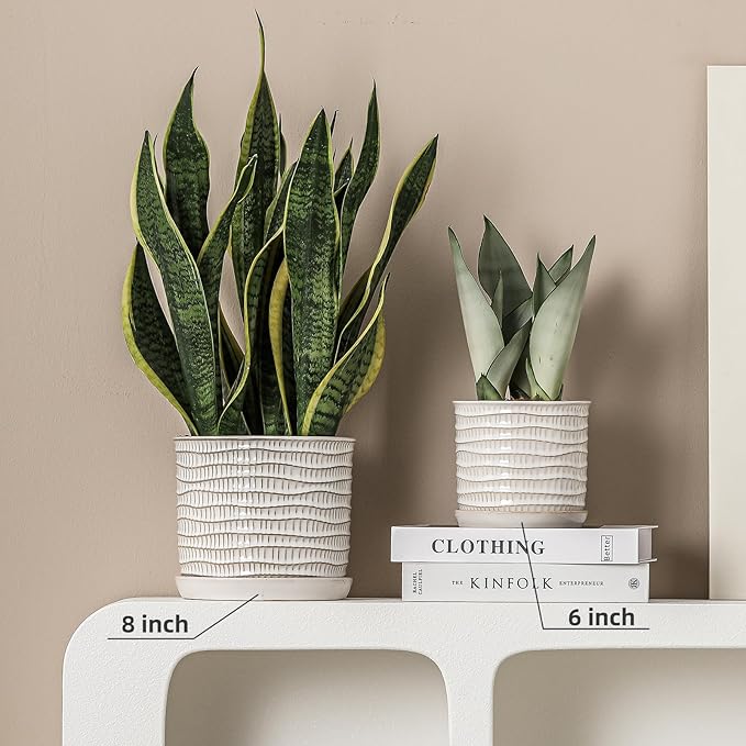 8 Inch Plant Pot: Ceramic Planter with Drainage Hole & Saucer - Cream White Flowerpot for Indoor & Outdoor Plants - with Separate Tray for Home & Office - Wave Embossed Design