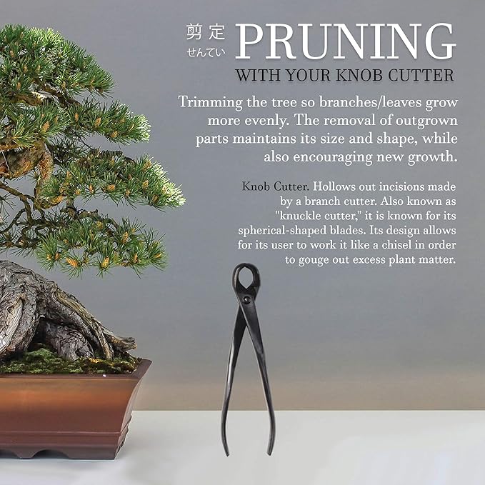 BambooMN Bonsai Tool Kit - 8" Concave Cutter & 8" Knob Cutter - 30 Sets