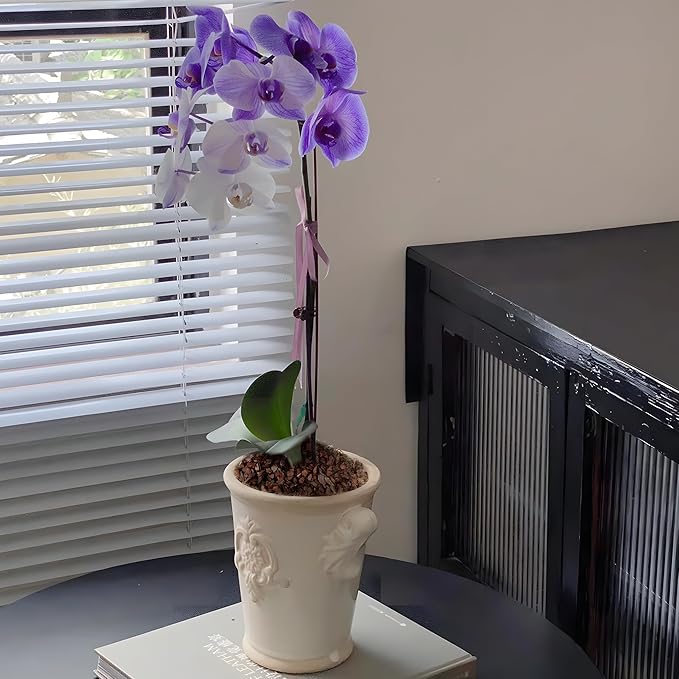 AVALUTION Orchid Potting Bark-29QT Organic Orchid Bark for Plants, All Natural Pine Bark Wood Chips Orchid Bark Potting Mix for Houseplant Mulch, Help Orchid Plants Root Health Development