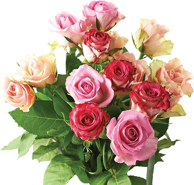 Jobe's Organics Granular Rose Fertilizer, Organic Plant Fertilizer for Rose, Hydrangea, Hibiscus, Azalea, and Other Flowering Shrubs, 4 lbs Bag