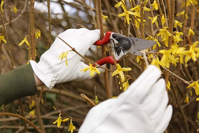 Spear & Jackson 6459BS Razorsharp Left-Handed Bypass Pruners