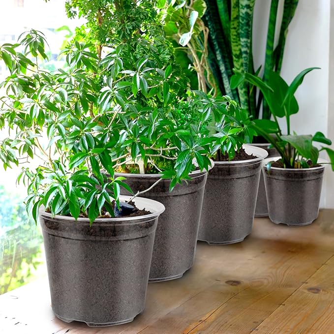 RAOOKIF 50 Pack Clear Nursery Pots Variety Pack, 7/6/5/4/3.5 Inch Clear Nursery Pot for Plants, Plastic Plant Pots with Drainage Holes, Garden Pots for Flower Seedling, Cuttings, Transplanting