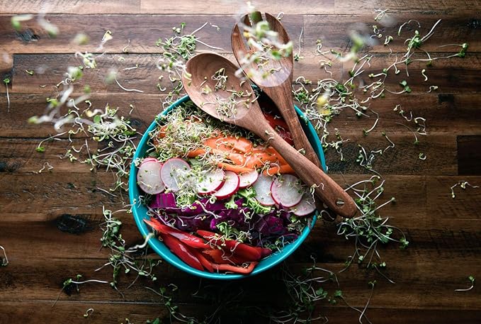 Broccoli Seeds for Sprouting & Microgreens | Waltham 29 Variety | Non GMO & Heirloom Seeds | Bulk 1 LB (16 oz) Resealable Bag | Rainbow Heirloom Seed Co.