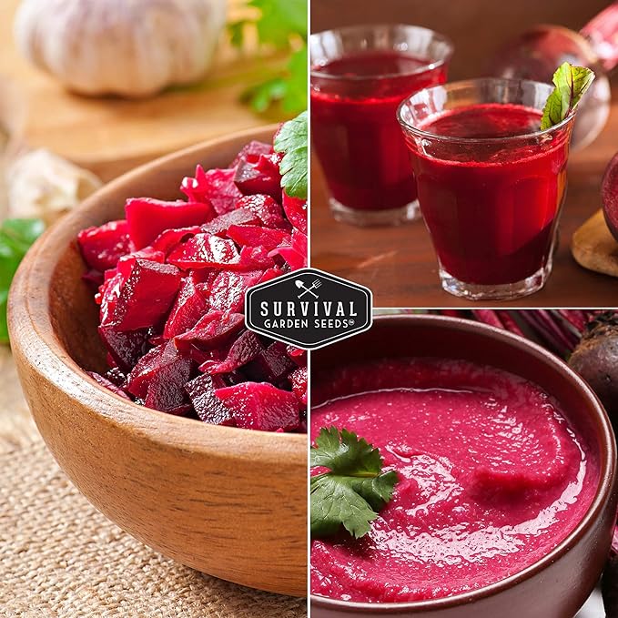 Survival Garden Seeds - Cylindra Beet Seed for Planting - 3 Packs with Instructions to Plant & Grow Dark Red Beets in Your Home Vegetable Garden - Non-GMO Heirloom Variety Vegetable Seed Planting