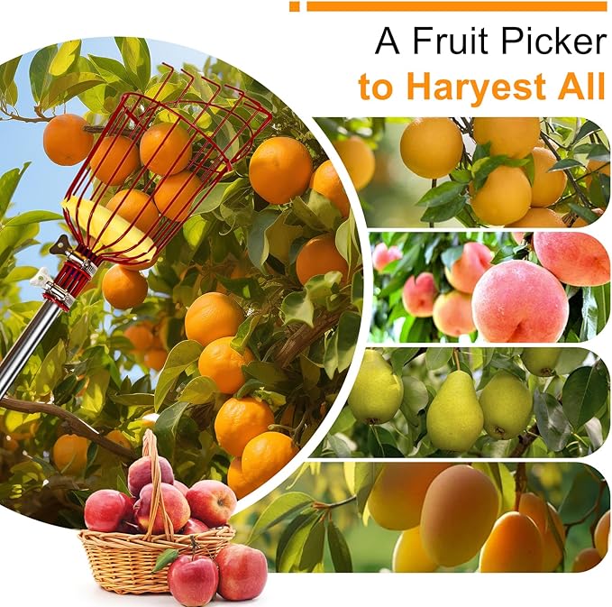 13 Feet Fruit Picker Pole Tool with Basket Apple Picker Extendable Stainless Steel Extension Pole Metal Clamp Fruit Catcher with Protective Foam Pad for Avocado Apples Mango