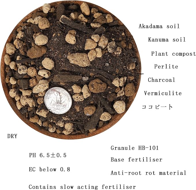 Organic Vegetable & Vanilla Potting Soil Mix (6 L) for Broccoli Tomatoes Lettuce Cabbage Potatoes Cucumbers and More (Made in Japan)