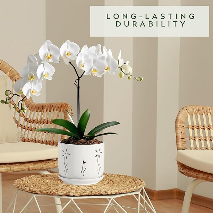 Set of 2 White Orchid Pots with Holes and Saucer, 5 + 6 Inch Ceramic Orchid Planters for Repotting with Drainage Holes and Tray, Plant Flower Pot containers for Orchid Indoor Outdoor