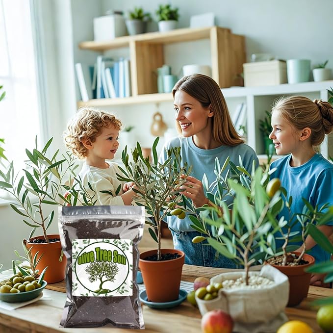 Premium Olive Tree Potting Mix 4qt, Uesed for The Propagation of Olive Trees by Cuttings or Seeds, Suitable for Planting, Repotting, and Growing Houseplant