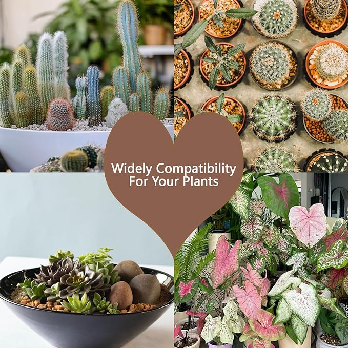 Mix Lava Rocks Mixed Potting Soil for Plants Bonsai Succulents and Cacti Soil Decoration Gravel Volcanic Pumice Stones for Terrarium, Top Dressing, Fairy Gardening (15 LBS)