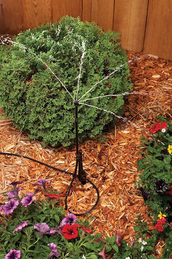 Rain Bird MSSTKTH1S Drip Irrigation Micro-Spray on Adjustable Height Staked Riser with 1/4" Tubing and Barbed Coupler, 180° Half Circle Pattern, 0 - 10.5’ Spray Distance,Black