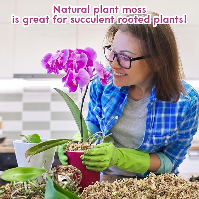 Riare 3.5 OZ Premium Sphagnum Moss for Plants- 4QT Natural Long Fiber Sphagnum Peat Moss Dried, Plants Moss Orchid Potting Mix for Orchids Repotting, Carnivorous Succulent Potted Plants and Reptiles