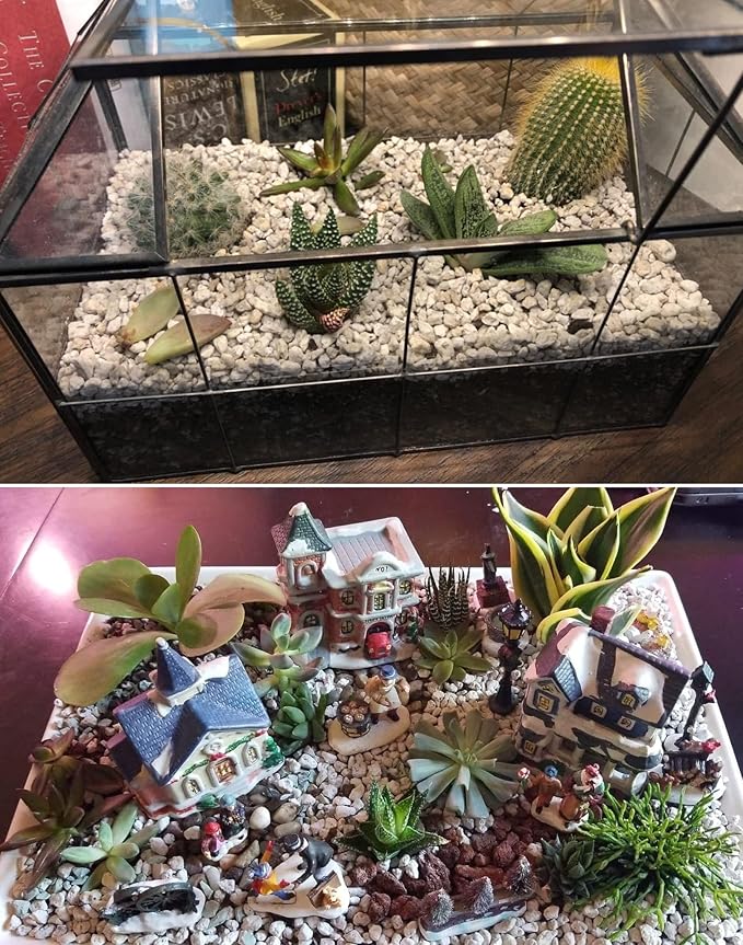 Organic Pumice for Bonsai and Horticultural 100% Natural (3 gallons, 1/2 inch)