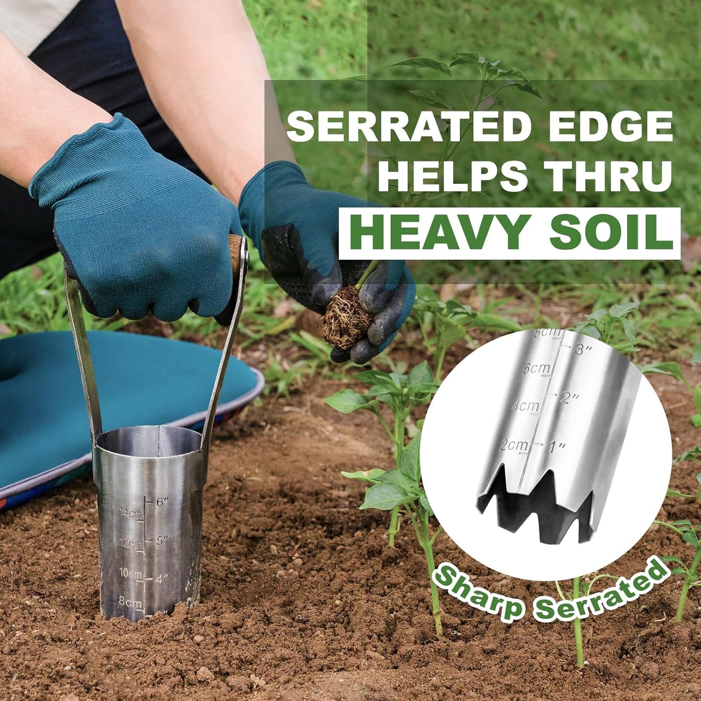 Haliaeetus Bulb Planter Tool, 6 inches Depth Mark Hand Bulb Planter, Non-Bending Stainless Steel Bulb Planter Digger, Garden Bulb Transplanter with Comfortable Wood Handle for Planting Tulip, Daffodil