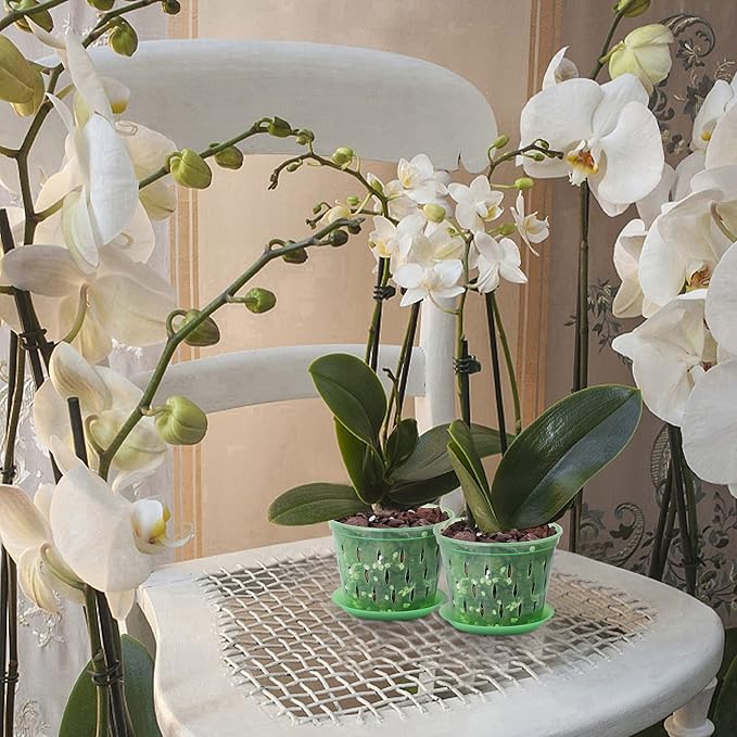 Orchid Pot with Holes and Saucers 5 Inch 6 Pack(Green Emerald)