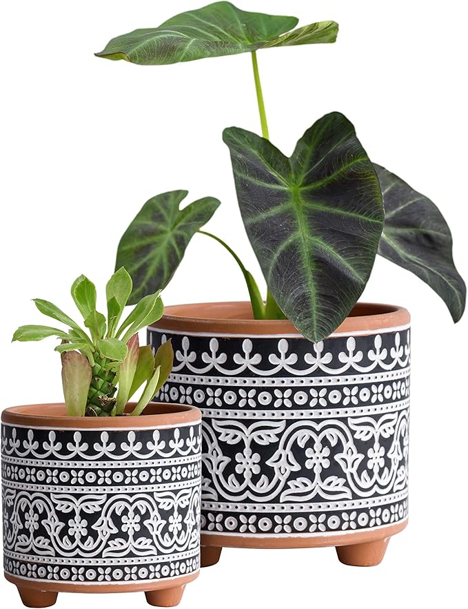 D'vine Dev Set of 2 Terracotta Planter Pots, 4.4 Inch & 6.4 Inch, Wave Pattern Plants Pot with Drainage Hole, Terracotta/Black, 31-953-F-2