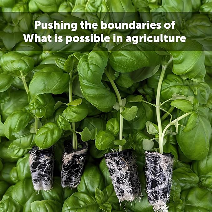 Compostable Seed Starter Plugs - Sustainable Seed Pods Made from Plant-Based Sugars - Outperforms Peat, Coir, Rock Wool for Hydroponics, Indoor, or Outdoor Gardening (1.5" x 1.5", 50ct)