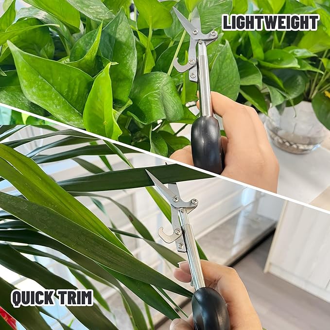 Pointed Stainless Steel Gardening Shears, Hand Pruners, Garden Clippers Handheld, Floristry Scissors, Picking Pepper Wolfberry Fruit (Black)