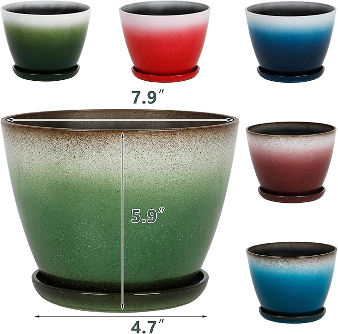 Worth Garden Plastic Round 8" Planters for Indoor Plants - Set of 6 Multicolor Small Gloss Flower Pots with Drainage Holes and Saucers - Home Decorative Christmas Containers